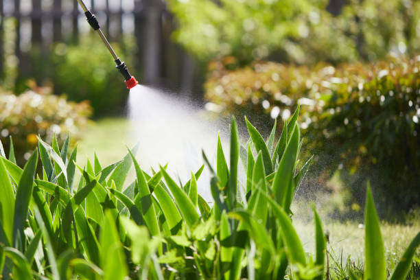 24/7 Emergency Mosquito Control experts in Delavan, WI